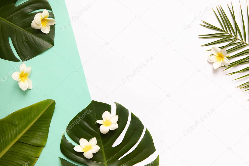 Tropical background with palm leaves monstera and flower.