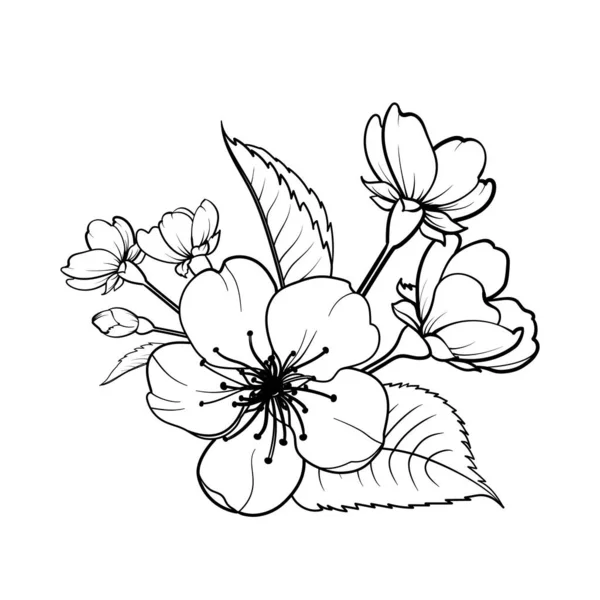 Elementos de diseño dibujado a mano colección flores sakura. — Vector de stock