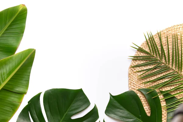 Tropische achtergrond met palm monstera bladeren . — Stockfoto