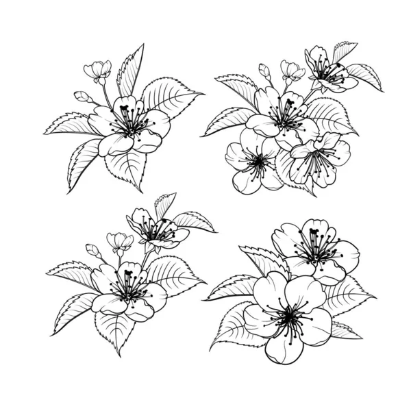 Handritade designelement sakura blommor samling. — Stock vektor