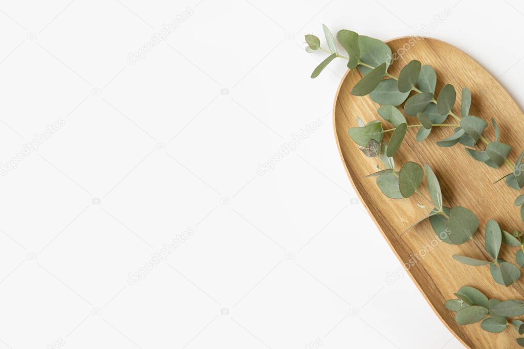 Green leaves of eucalyptus branches on a wooden plate.