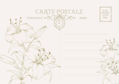 Klasik kartpostal arkaplan şablonu. Vektör illüstrasyonu