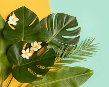 Palmiye yaprakları ve çiçekli tropikal arkaplan.