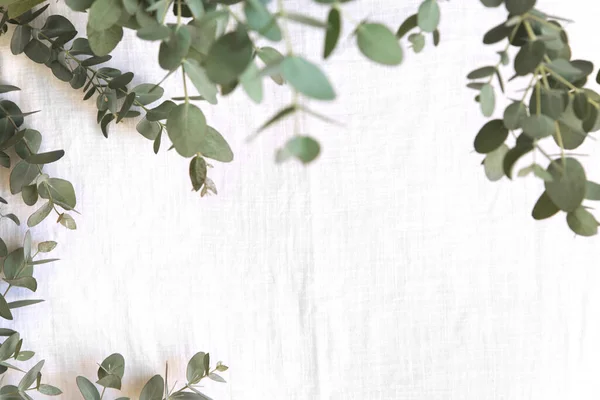 Groene bladeren van eucalyptustakken op een linnen doek. — Stockfoto
