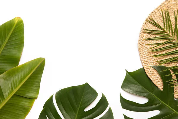 Tropische achtergrond met palm monstera bladeren . — Stockfoto