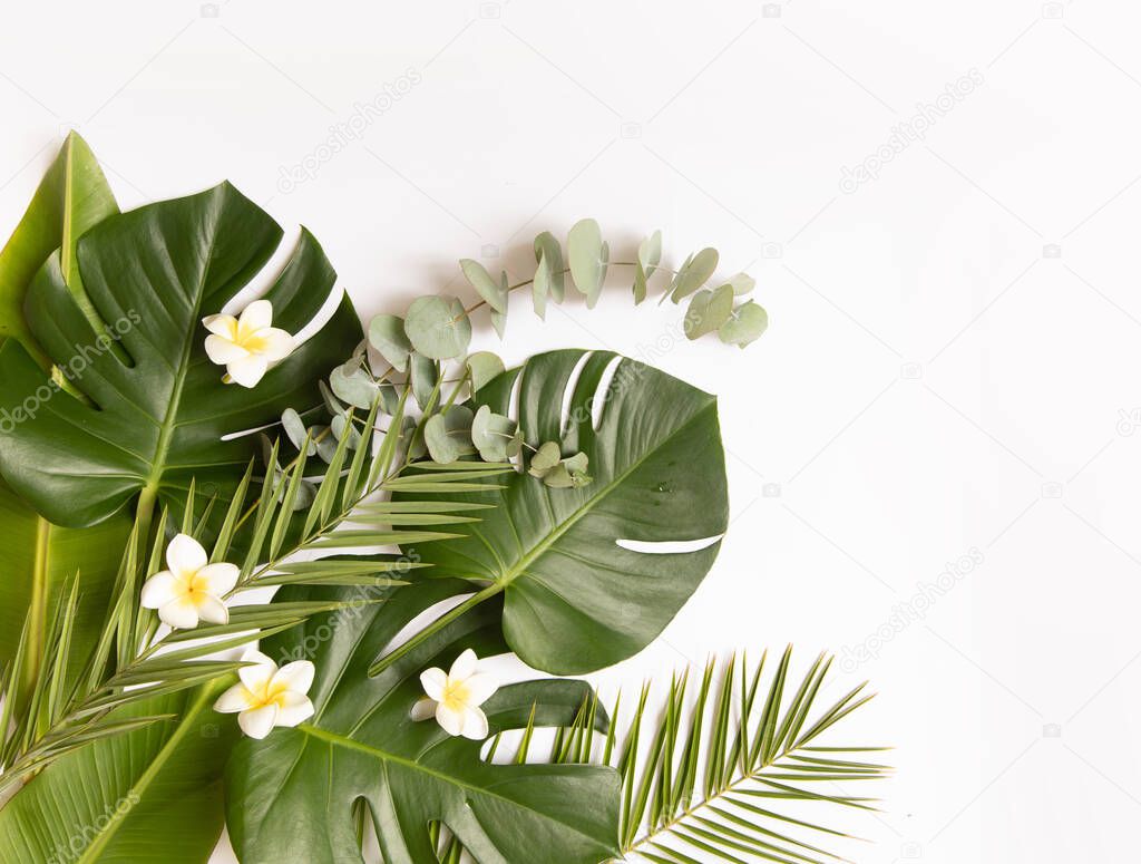 Tropical background with palm leaves and flower.
