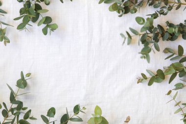 Okaliptüs yapraklarının yeşil yaprakları keten kumaş üzerinde.