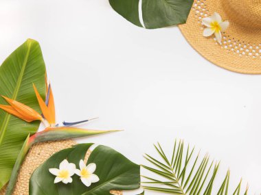 Beyaz arka planda tropik palmiye yaprağı ve şapka. Canavar yapraklarıyla kompozisyonda çiçek. Canlı minimal moda konsepti