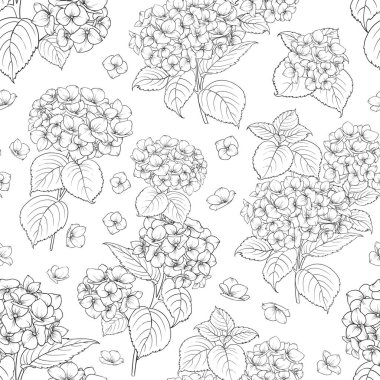 Hydrangea ile kusursuz çiçek desenleri. Vektör illüstrasyonu.