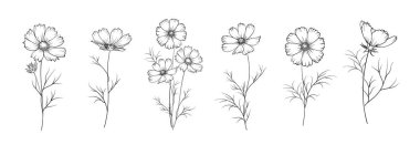 Beyaz arkaplanda farklı çiçek kümeleri.