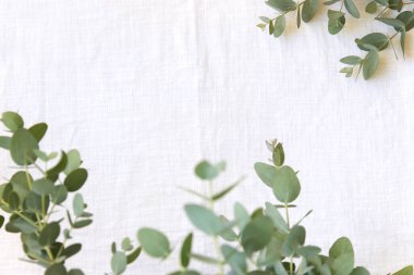Okaliptüs yapraklarının yeşil yaprakları keten kumaş üzerinde.