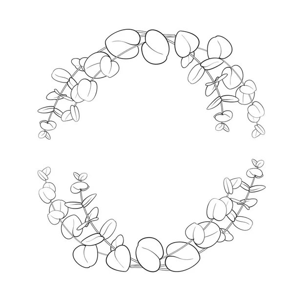 Marco de silueta con ramas de eucalipto. Estilo de arte de línea con fondo transparente. — Archivo Imágenes Vectoriales