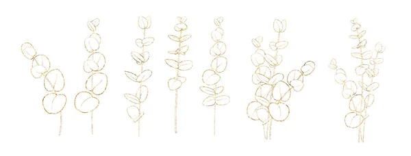 Conjunto de diferentes ramas de eucalipto dorado sobre fondo blanco. Estilo de arte de línea con fondo transparente. — Archivo Imágenes Vectoriales