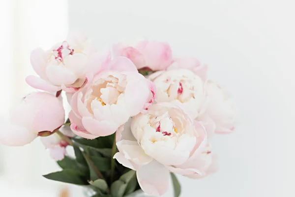 Pivoines romantiques sur un fond clair. Bouquet féminin pour un mariage ou un anniversaire. — Photo