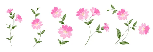 Ensemble de différentes fleurs de lin sur fond blanc. — Image vectorielle