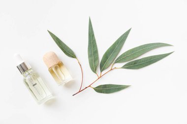Beyaz arka planda bir şişe gerekli yağ ve okaliptüs yaprakları. Deri ve vücut bakımı kavramı.