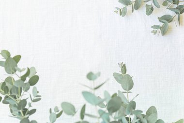 Canlı arkaplanda tropikal yapraklar. Yaz düzlüğü kompozisyonu.