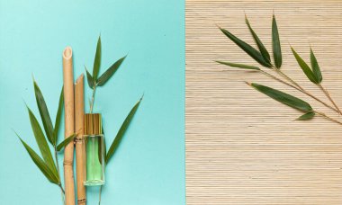 Canlı arkaplanda tropikal yapraklar. Yaz düzlüğü kompozisyonu.