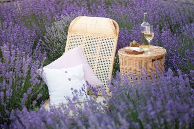 Lavanta tarlasında gün batımında piknik. Beyaz şarap ve peynir..