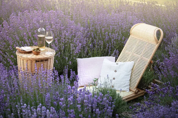 Picnic al atardecer en el campo de lavanda. Vino blanco y queso. — Foto de Stock