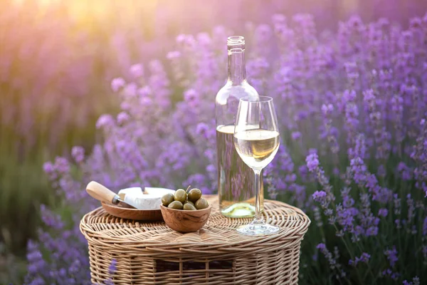 Picnic at sunset in the lavender field. White wine and cheese. — Stock Photo, Image