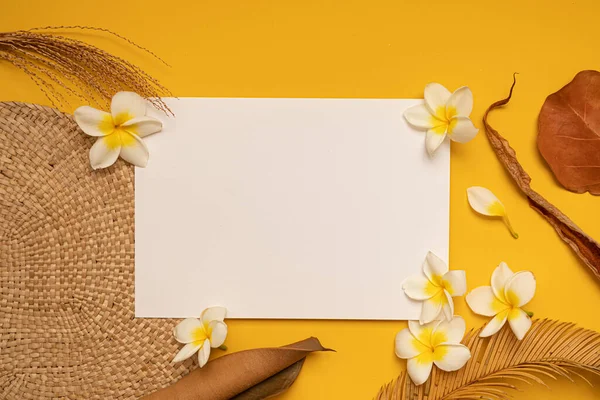 Um modelo de verão com estilo. Saudação em branco e cartão de convite. Folhas tropicais secas com espaço vazio. — Fotografia de Stock