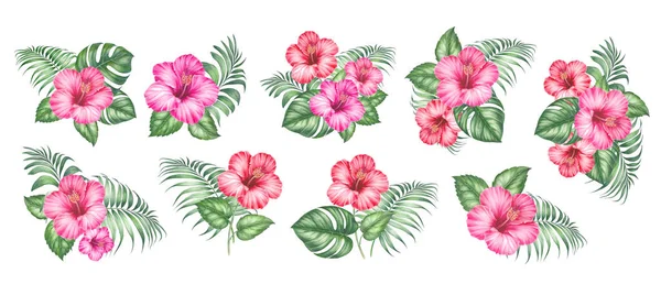 Akvarell elemek virágzó hibiszkusz. Trópusi díszkerti virágok. Kollekció botanikai illusztráció levelek, virág és ágak. — Stock Fotó