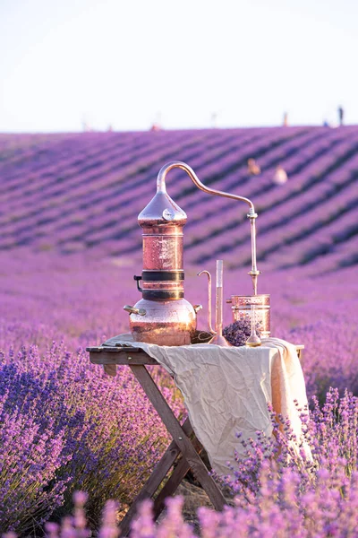 Distillation of lavender essential oil and hydrolate. Copper alambik for the flowering field. — Stock Photo, Image