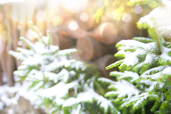 Vinter bakgrund — Stockfoto