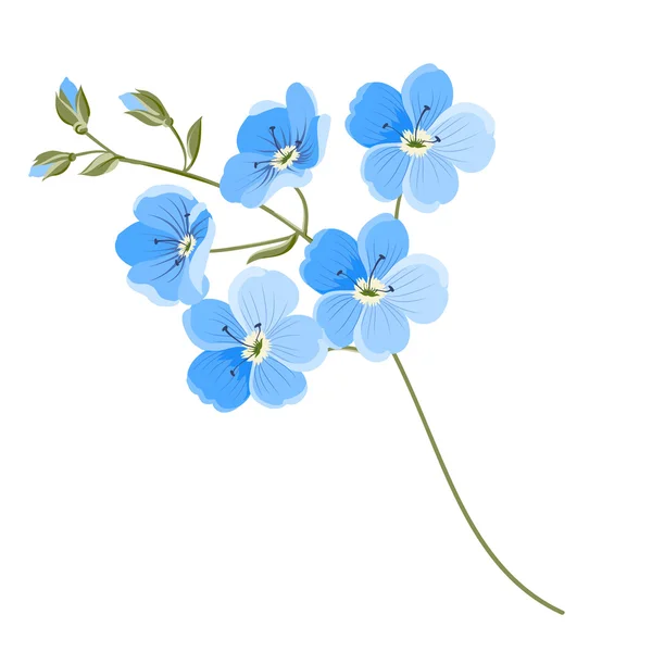 Λουλούδι λινό — Διανυσματικό Αρχείο