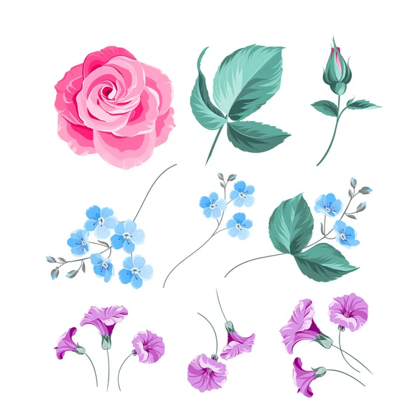 Conjunto de flores. — Vector de stock