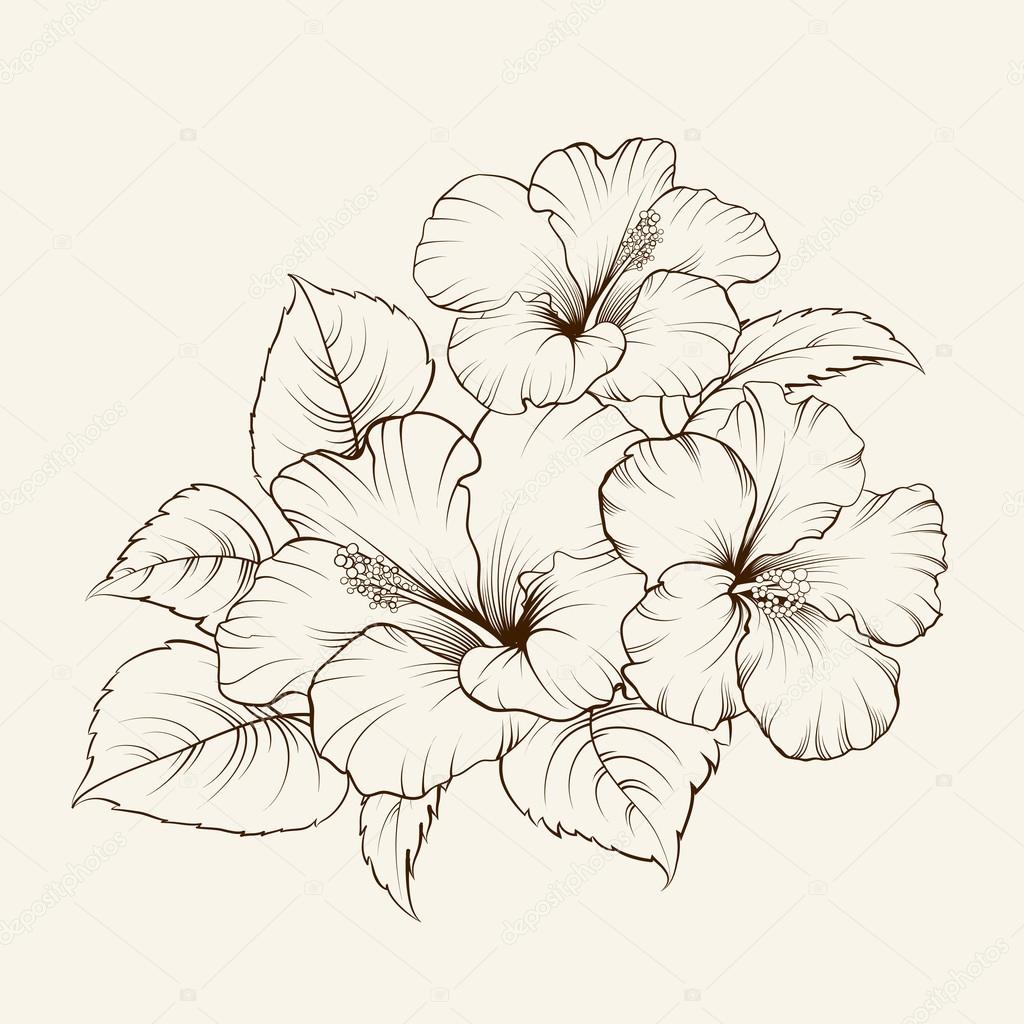 Flower of mallow on a white background. Vector illustration