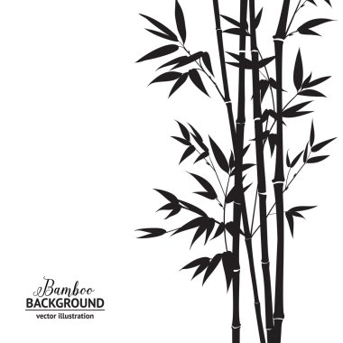 bambu çalı.