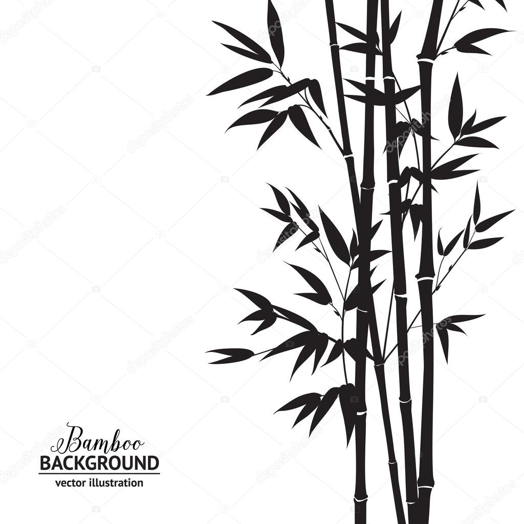 Bamboo bush.