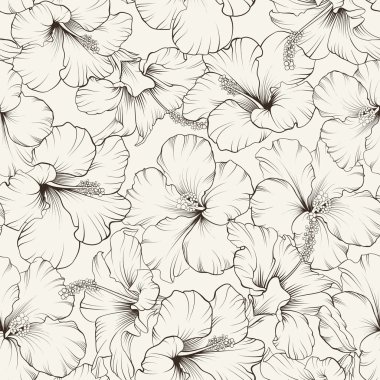 Güzel hibiscus desen.