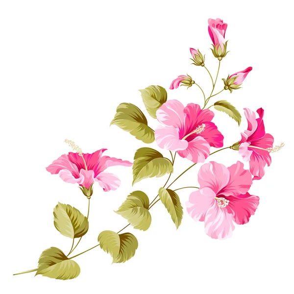 Virág hibiszkusz — Stock Vector