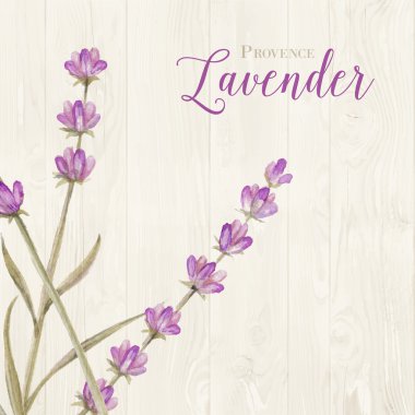 Laveder ahşap paneller üzerine.