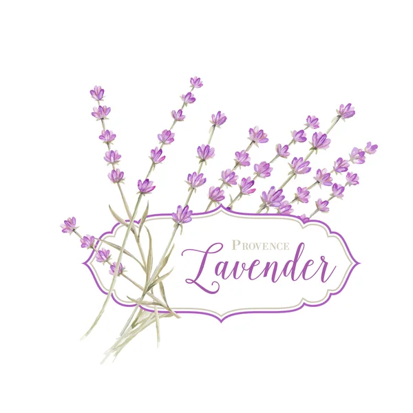 Label met lavendel — Stockvector