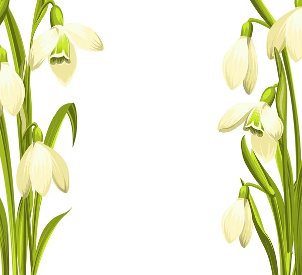 Flores de nieve . — Vector de stock