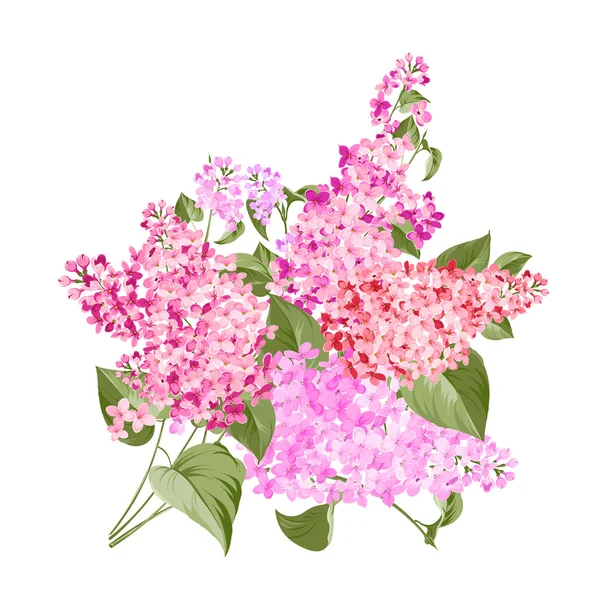 Tavaszi virágok. — Stock Vector