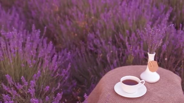 Skördade lavendel blommor. — Stockvideo