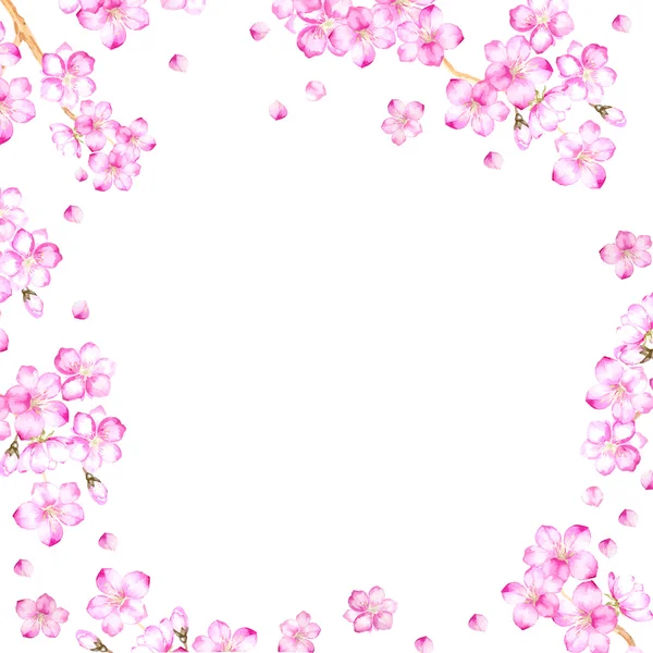 Cornice di fiori di ciliegio . — Vettoriale Stock