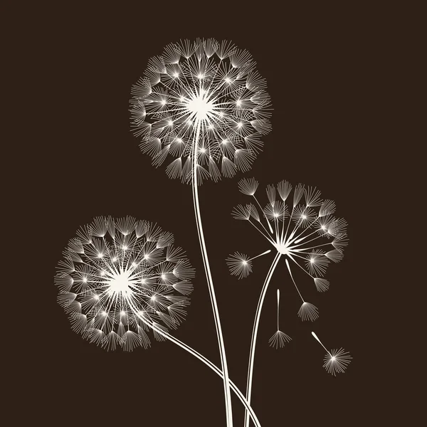 Graines de blowball . — Image vectorielle