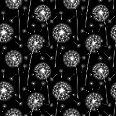 Blowball tohumları.