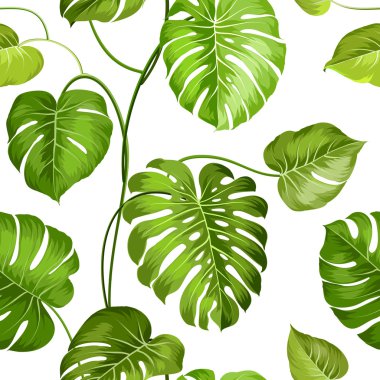 Topical palm leaves. clipart