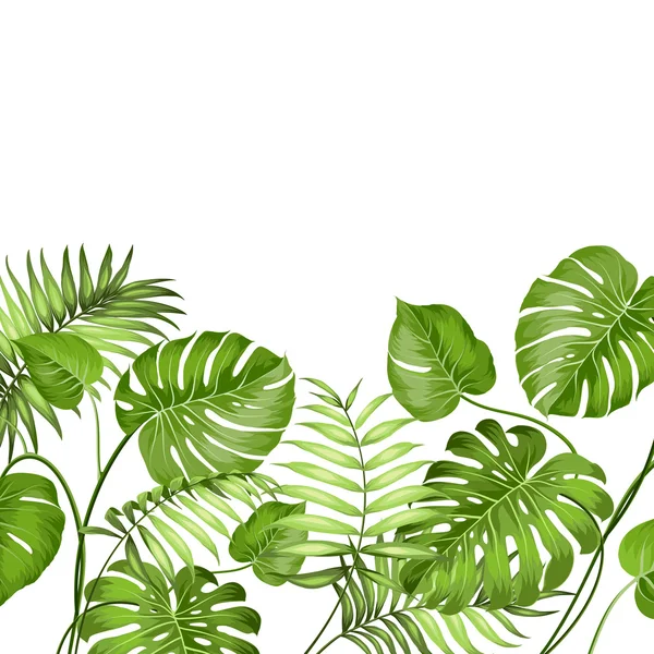 Diseño de hojas tropicales. — Vector de stock