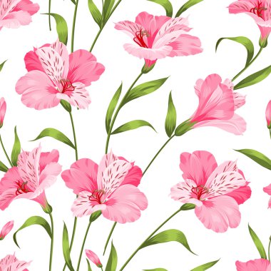 Beautiful alstroemeria.