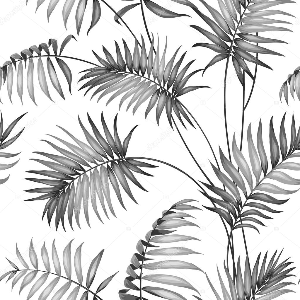 Topical palm leaves.