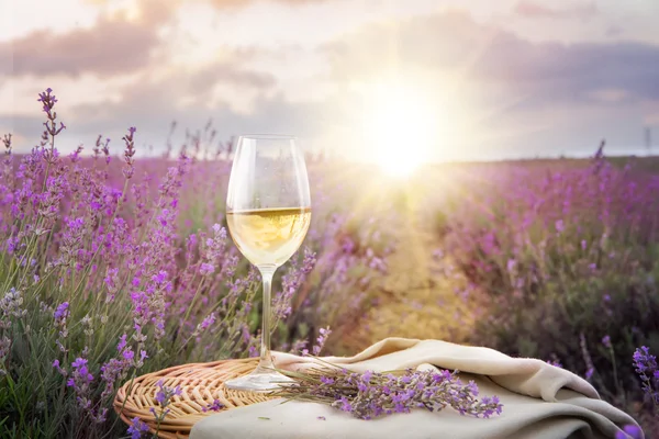 Flaska vin mot lavendel. — Stockfoto
