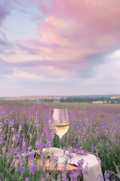 Weinglas gegen Lavendel. — Stockfoto